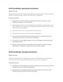 Perfil Coordinador operaciones eCommerce