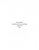 Plan de Formación . Fundamentos de la Prevención de Riesgos