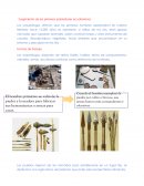 Surgimiento de los primeros pobladores ecuatorianos