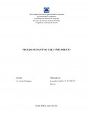 PRUEBAS SUSTANTIVAS Y DE CUMPLIMIENTO