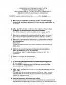 MATERIALES CERÁMICOS