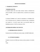 Proyecto de inversión contable empresa GOURMET S.A.C