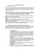 Metodologia six sigma