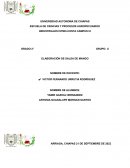 ELABORACIÓN DE SALSA DE MANGO