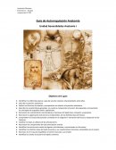 Guía de Autorregulación Anatomía
