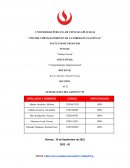 Trabajo parcial Comportamiento Organizacional