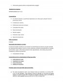 CASO: IMPORTACIONES G & Y S.A.C