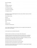 Dirección estratégica y politica de la empresa