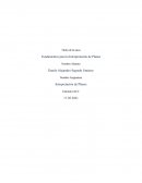 Fundamentos para la Interpretación de Planos