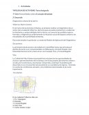 Diagnostico urbano de tu barrio: Villarrica- Barrio Centro