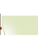 Seguridad con armamento