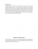 MEDIDAS CAUTELARES PREVIAS