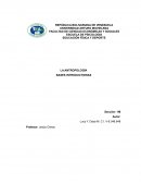 LA ANTROPOLOGÍA BASES INTRODUCTORIAS