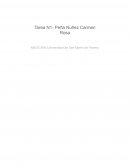 Nivel de estrés laboral de los trabajadores de salud