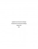 LEGISLACION DE PREVENCION DE RIESGOS