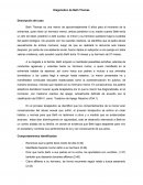 Informe diagnostico Beth Tomas