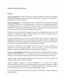 Resumen Derecho Constitucional