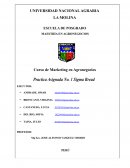 Practica Asignada No. 1 Sigma Bread