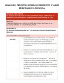 PROYECTO: ENTREGA DE PRODUCTOS Y TAREAS EN EL TRABAJO A DISTANCIA