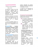 La dimensión social