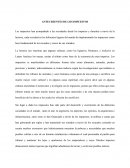 ANTECEDENTES DE LOS IMPUESTOS