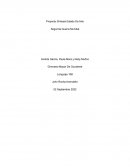 Proyecto Síntesis Estado De Arte