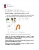 Unidad Nº 4 Me quiero y me acepto como soy