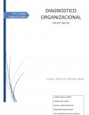 ARCOR - Analisis completo