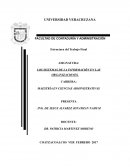 LOS SISTEMAS DE LA INFORMACIÓN EN LAS ORGANIZACIONES