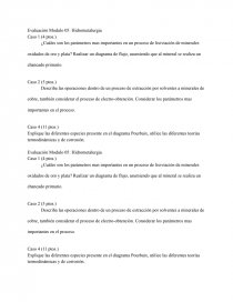 Evaluación Modulo 05: Hidrometalurgia. Página 1