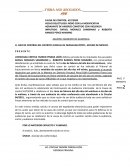 INCIDENTE DE RECURSO DE REVOCACION