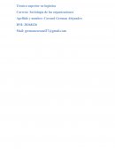 Sociología de las organizaciones