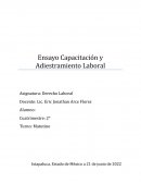 Ensayo Capacitación y Adiestramiento Laboral