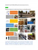 Ejemplo de realización de un diseño instruccional para escuela pública primaria