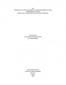 PRACTICA I BASICA PRIMARIA