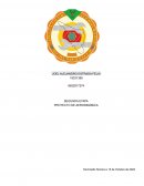 PROYECTO DE AERODINÁMICA