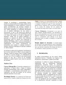 Ensayo gestión del riesgo