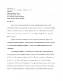 Informe Practica No. 4 Substancias que se encuentran en los seres vivos