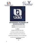 ENTREVISTA PSICOLÓGICA ADOLESCENTE