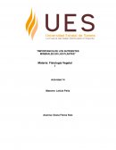 Importancia de los nutrientes minerales en las plantas
