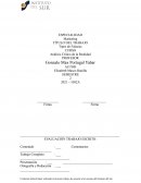 Marketing.Tipos de Falacias