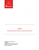 Análisis de Mercado Técnico y de Gestión de personas