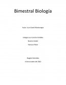 ¿A qué se debe la gran popularidad de las rosas?