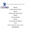 Nodos, trayectorias, lazos y ramas