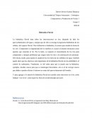 Ensayo sobre Hidráulica fluvial