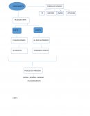 Trabajo practico RED CONCEPTUAL