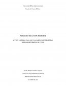 Proyecto de acción pastoral