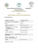 INFORME MENSUAL DE PRÁCTICAS PRE PROFESIONALES. La lactancia materna