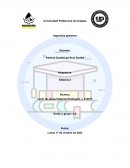 El correcto uso del EPP