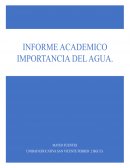 INFORME ACADEMICO IMPORTANCIA DEL AGUA